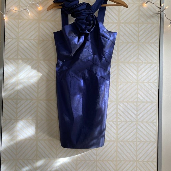 Cache Dress - Picture 6 of 12